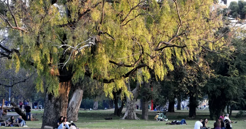 La Municipalidad de La Plata puso en marcha un plan de obras para recuperar el Parque San Martín