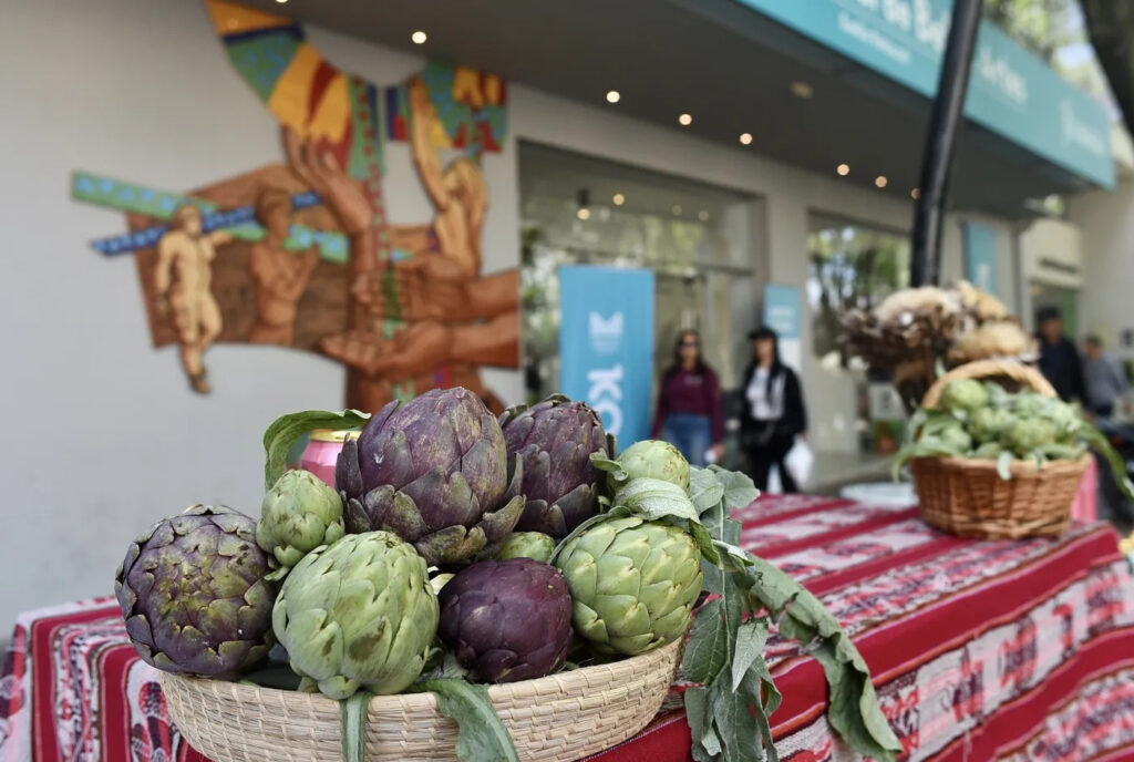 Anuncian la fecha para la Fiesta del Alcaucil en La Plata con stands gastronómicos y variedad de platos