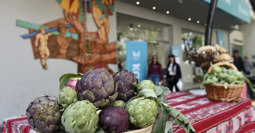 Anuncian la fecha para la Fiesta del Alcaucil en La Plata con stands gastronómicos y variedad de platos