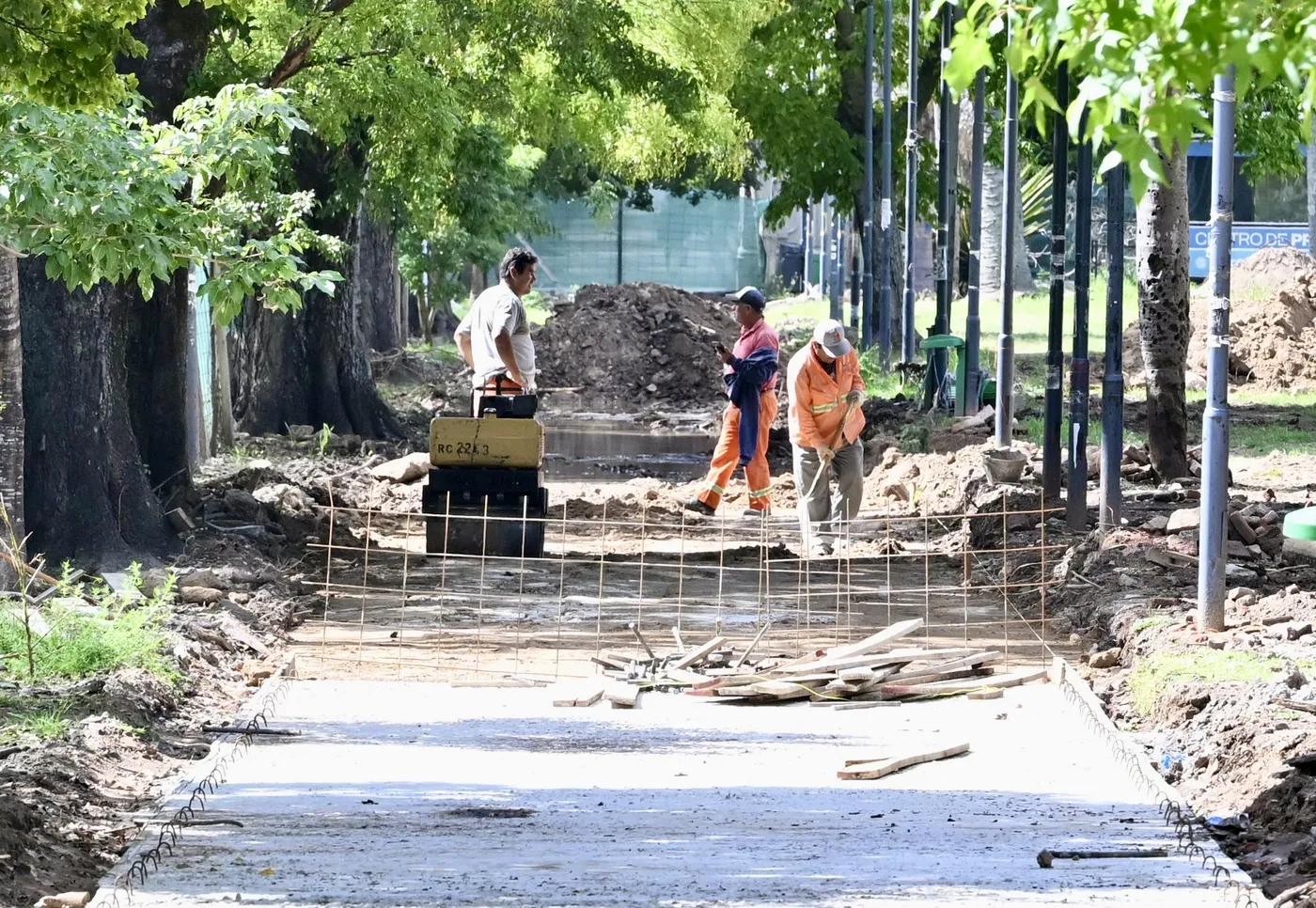 La Justicia de La Plata rechazó el amparo que buscaba frenar las obras en el Parque Saavedra