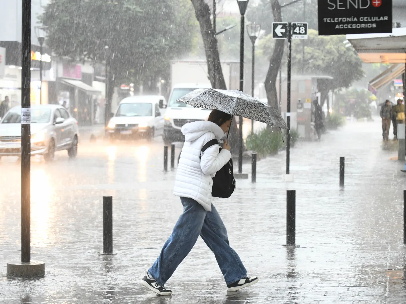 Tras las lluvias, se viene el frío: ¿cómo seguirá el clima en La Plata después de las tormentas?