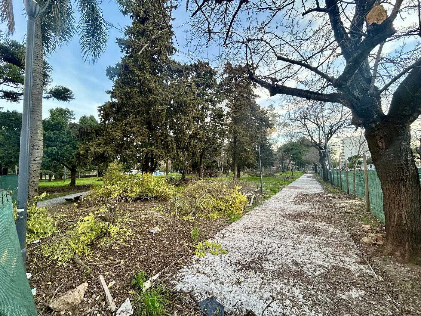 Encontraron muerta a una joven de La Plata en el Parque Saavedra y es la segunda en menos de una semana