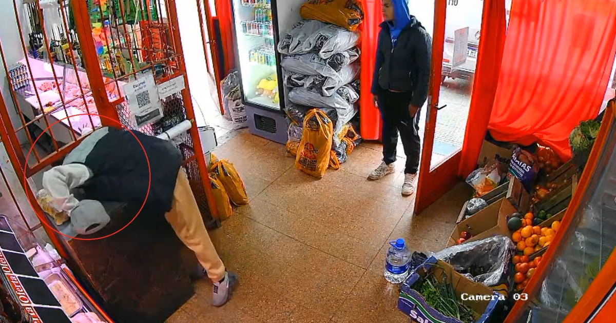 Video: entraron a robar a una carnicería de Tolosa y quedaron filmados
