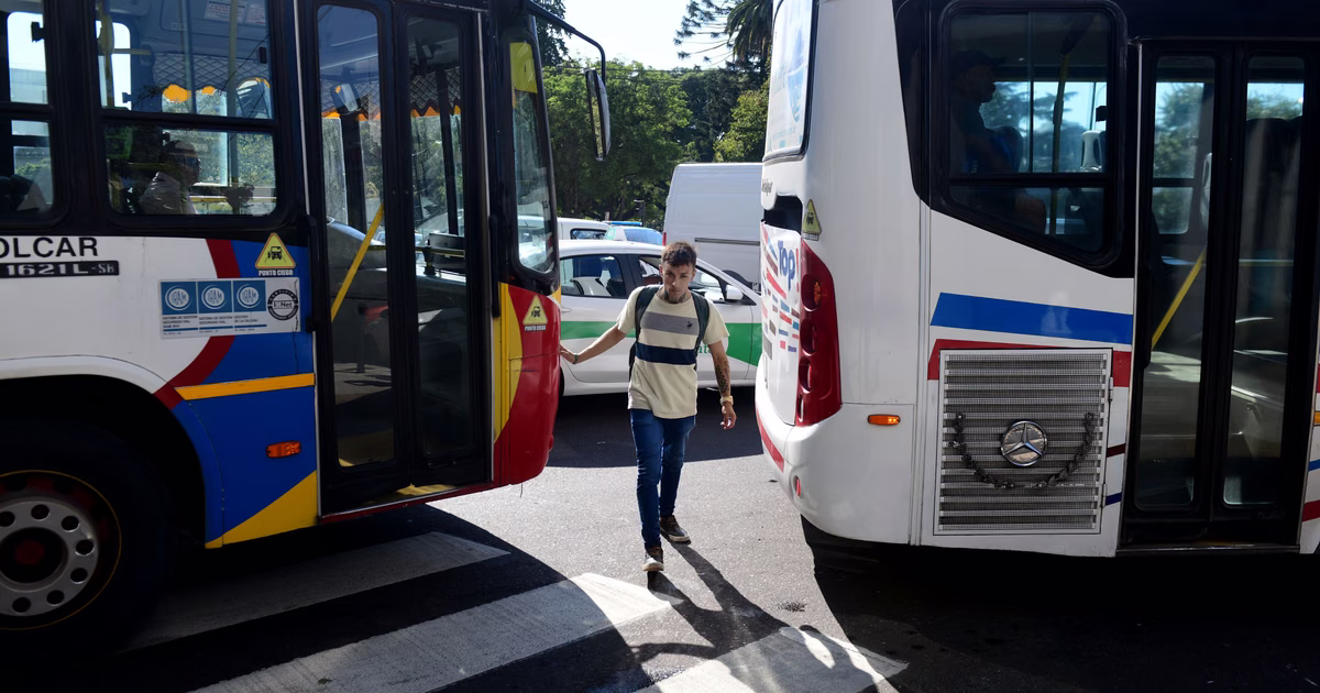 Actualizan las prioridades de paso para el tránsito en la provincia de Buenos Aires: ¿cuáles son los cambios?